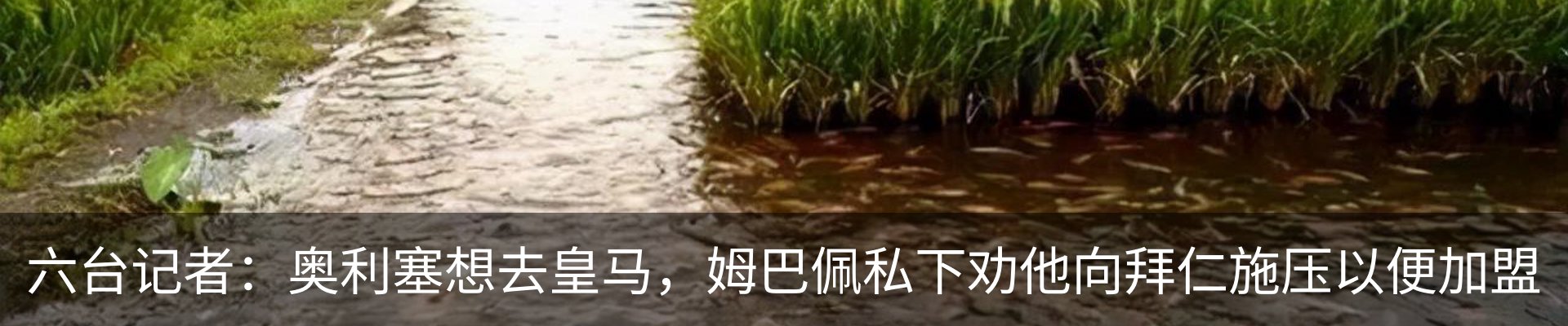 热点资讯